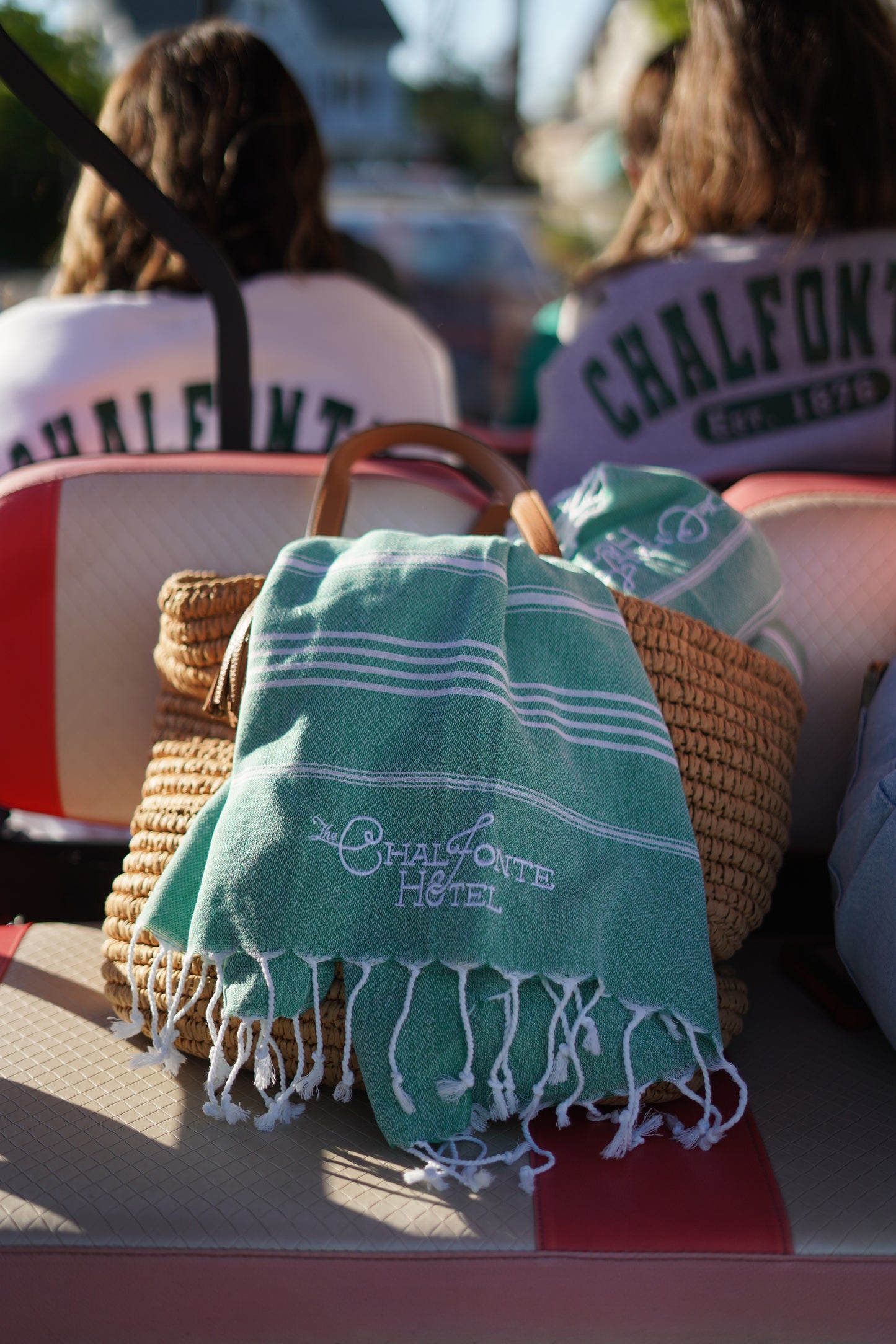 Chalfonte Beach Towel